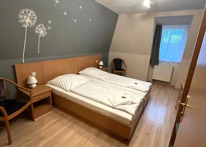 Отель Alte Apotheke Бад-Дюрренберг