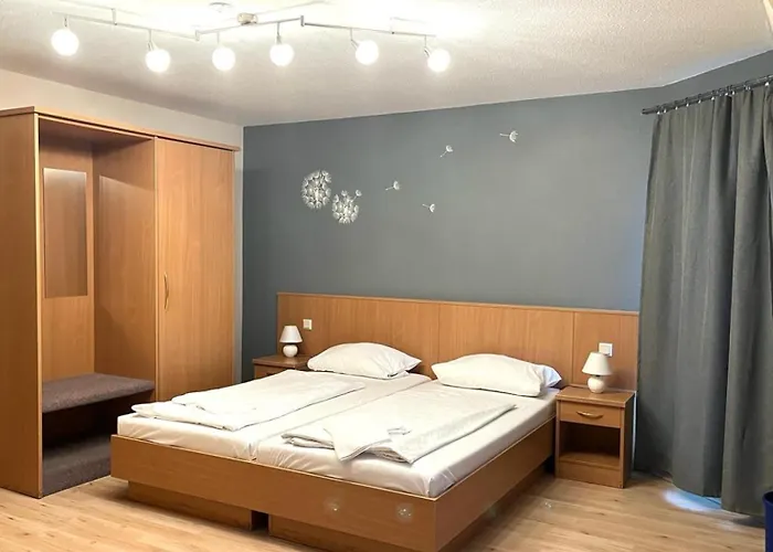 Отель Alte Apotheke 3*